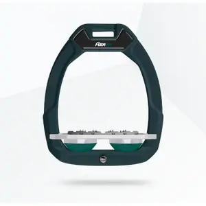 Πεταλοειδή ποδήματα ασφαλείας ιππασίας Flat Ultra Grip Πράσινο/Γκρι/Πράσινο Flex-On Safe-On image-0