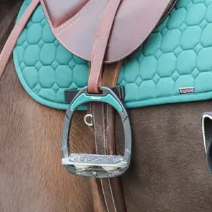 Stickers étriers Vert Anglais Silver Flex-On image-1