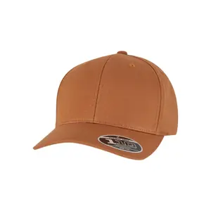 Snapback cap Flexfit 110 Curved image-0