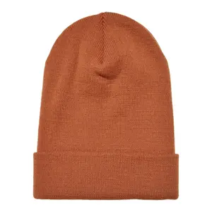 Long thick hat Flexfit image-0