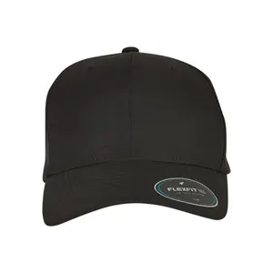 Cap Flexfit NU image-1