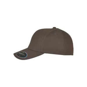 Cap Flexfit NU image-3