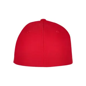 Cap Flexfit NU image-1