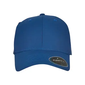 Cap Flexfit NU image-1