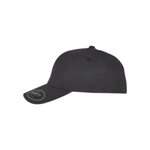 Cap Flexfit NU image-3
