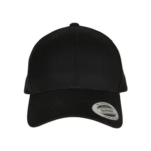 Curved peak snapback cap Flexfit Premium image-0