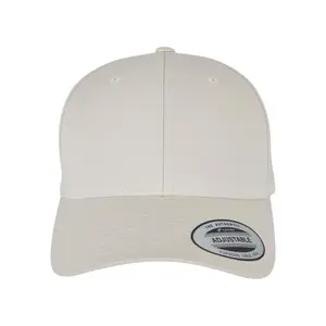 Tampão de segurança Flexfit Curved Classic image-0