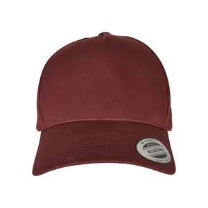 Curved snapback cap 5 panels Flexfit Classic image-0