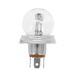 Λάμπα Flosser Culot P45t Bulb R2 image-1
