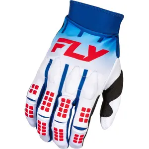 Luvas de motocicleta cruzadas Fly Racing Evo Dstâ image-0