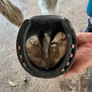 Beschermband van vezels Footpro image-3