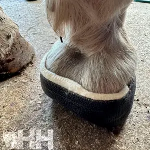 Beschermband van vezels Footpro image-4