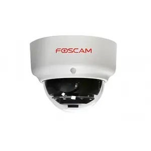 Caméra dôme extérieur POE Foscam D2EP