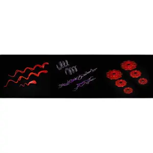 Accessory for figurine Four Horsemen Studios Mythic Legions: Poxxus Poxxus Magic Effects - Evil image-0