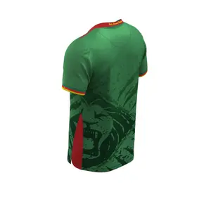 Authentic Home Shirt Cameroon 205/26 image-4