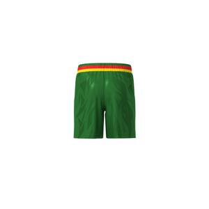 Cameroun Shorts Dynamic 2025/26 image-1
