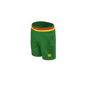 Cameroun Shorts Dynamic 2025/26 image-3