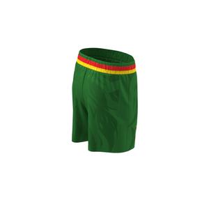 Cameroun Shorts Dynamic 2025/26 image-4