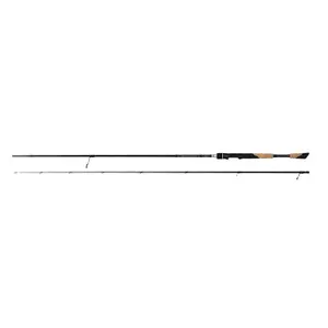 Canne spinning Fox Rage TR DS Master 6-25g