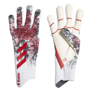 Guantes de portero adidas Predator 20 Pro Manuel Neuer image-0
