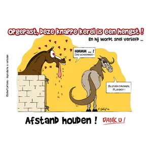 Placa Humorística Fr8Man Hengst image-0