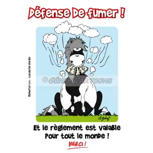 Placa humorística sala de fumadores Fr8Man image-0