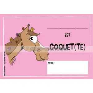 fr8plpc014fr-humorvolle-plakette-kokett-fr8man-rosa-tu