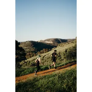 Bob Fractel B-Series image-6