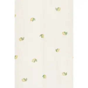 Damenbluse fransa Bobbi 1 image-2