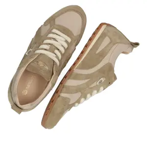 Kobiece koszykarskie buty nylonowe Fred de la Bretoniere Uta More image-4