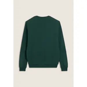 Gestreifter Rundhals-Sweatshirt mit bedrucktem Logo Freddy image-1