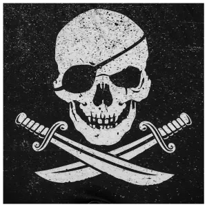 Children's boxer shorts Freegun Pirates et Trésor image-1