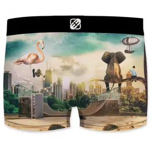 Boxer Freegun Surealist skate and surf (x3) image-2