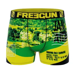 Boxer Freegun Flag & Cities (x4) image-3