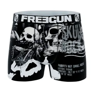 Boxer Freegun Flag & Cities (x5) image-0