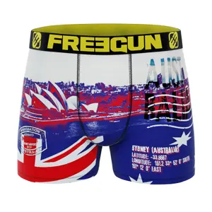 Boxer Freegun Flag & Cities (x4) image-2