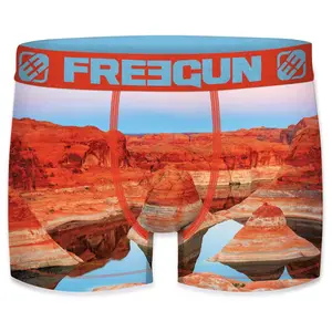 Boxer en polyester recyclé imprimé paysage de voyage Freegun (x4) image-2