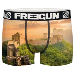 Boxer en polyester recyclé imprimé paysage Freegun (x4) image-2