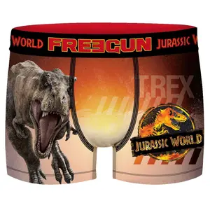 Boxer microfibre Freegun Jurassic World Tyranosaur image-0
