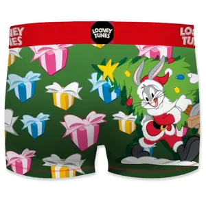 Children's boxer shorts Freegun Looney Tunes Bugs Bunny image-1