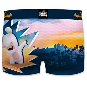 Children's boxer shorts Freegun Lapins Crétins Dab image-1