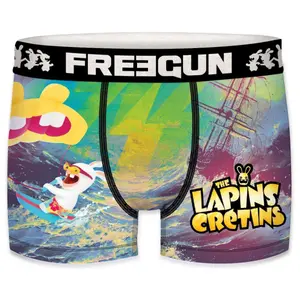 Children's boxer shorts Freegun Lapins Crétins Kitesurf image-0
