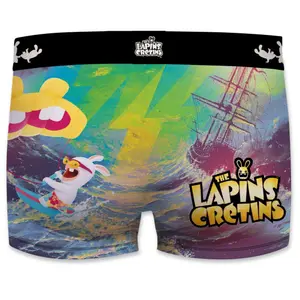 Children's boxer shorts Freegun Lapins Crétins Kitesurf image-1