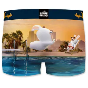 Children's boxer shorts Freegun Lapins Crétins Splash image-1