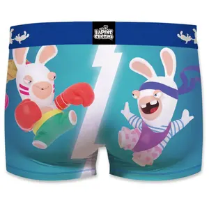 Boxer Freegun Lapins Crétins Street Fighter image-1