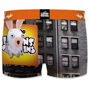 Children's boxer shorts Freegun Lapins Crétins Panel image-1