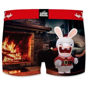 Children's boxer shorts Freegun Lapins Crétins Christmas image-1