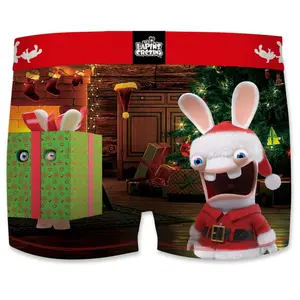 Children's boxer shorts Freegun Lapins Crétins Unboxing image-1