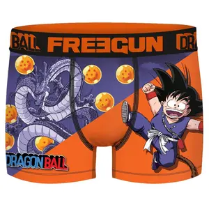 Boxer Freegun Dragon ball dragon image-0