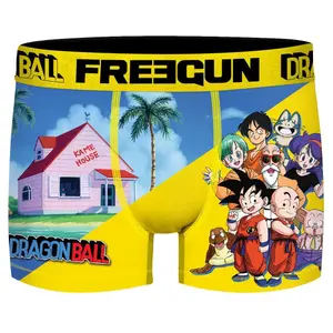 Boxer Freegun Dragon ball house image-0